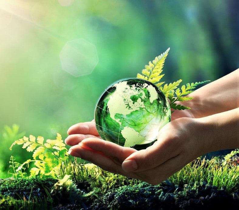 Eco & Milieuvriendelijke Producten