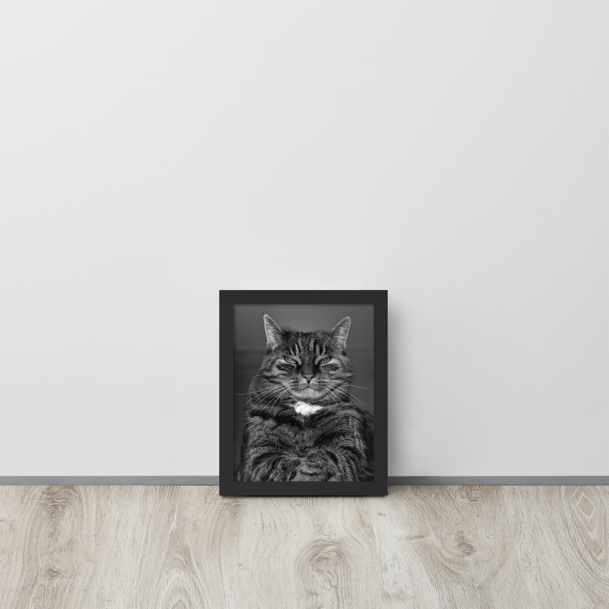 The Cat -- High Quality -- Framed on photo paper