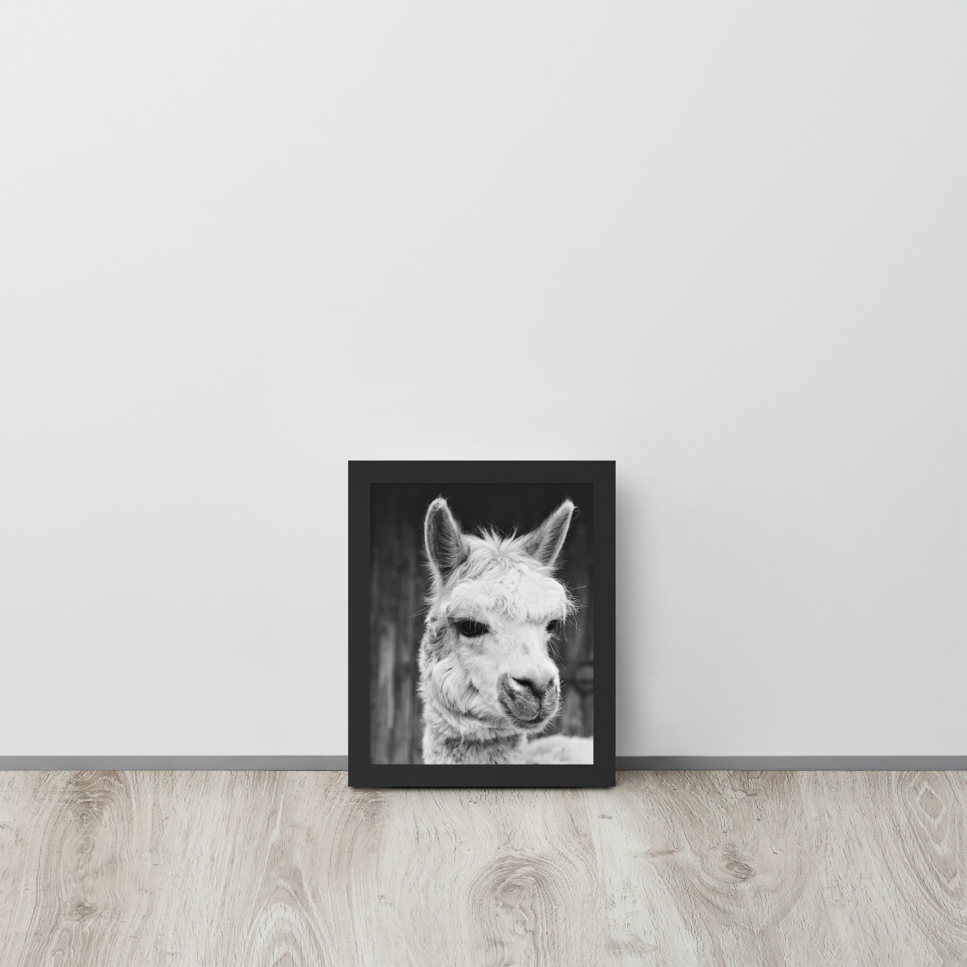 Alpaca -- High Quality -- Framed on photo paper