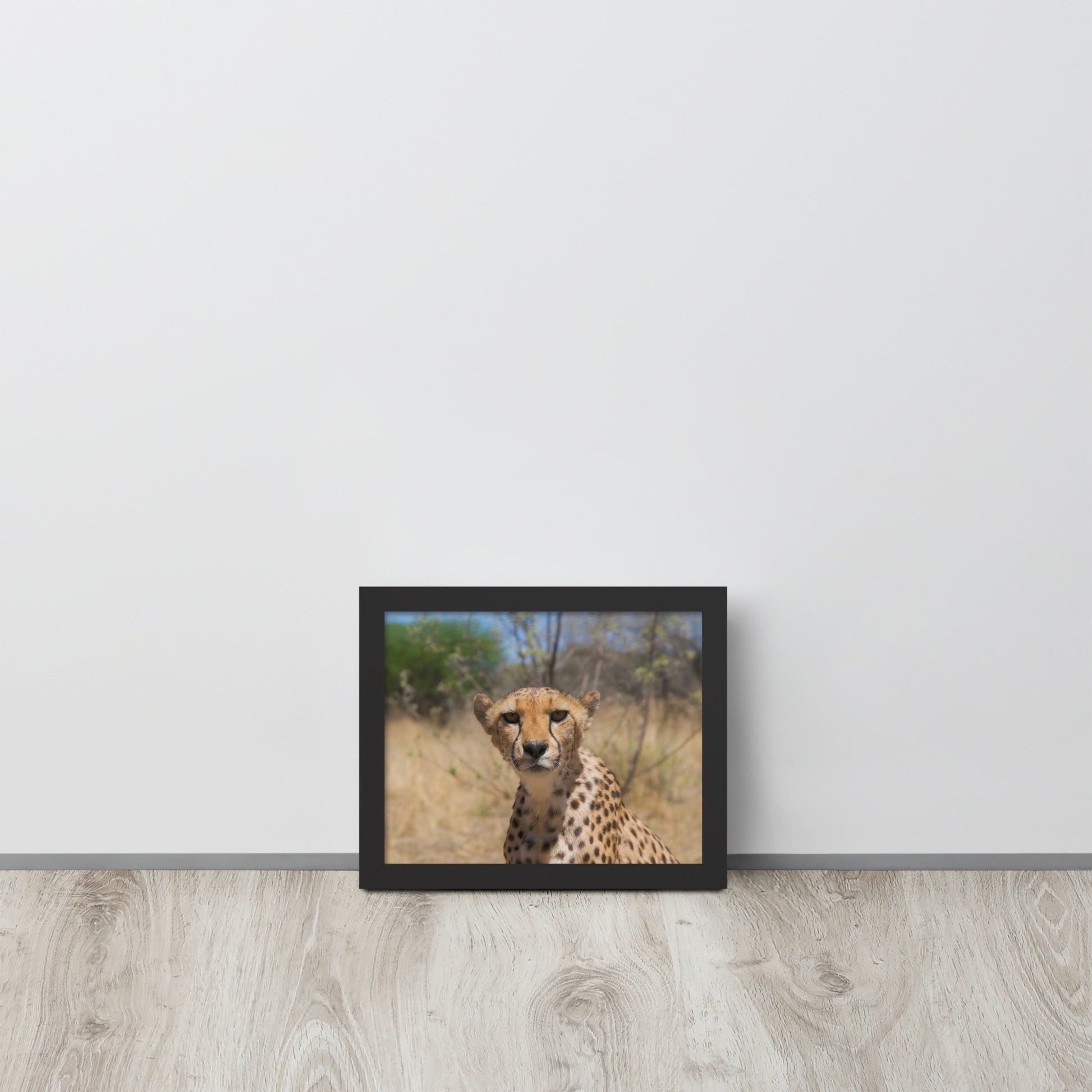 Leopard -- High Quality -- Framed on photo paper
