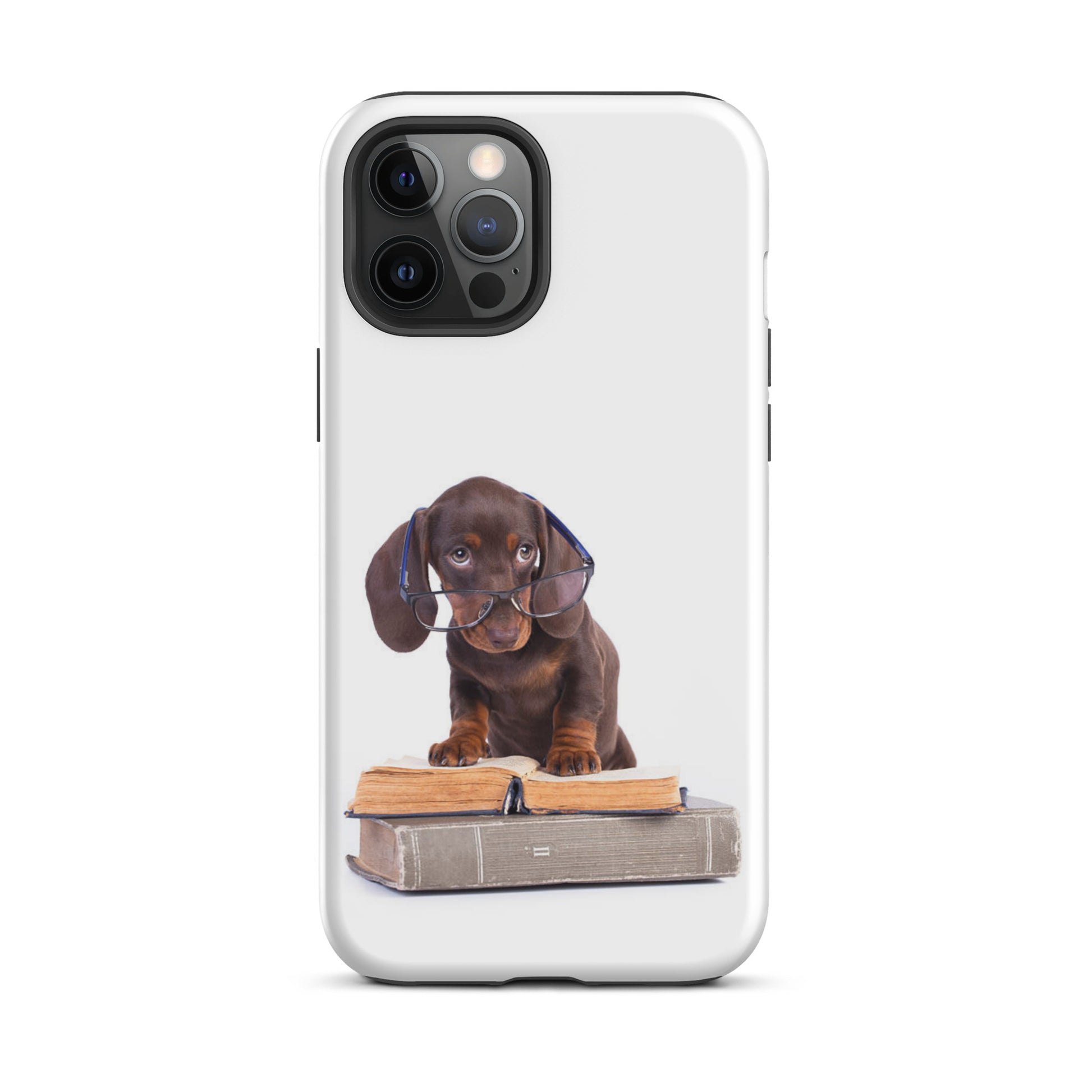 Luxury Tough iPhone Case ''The Dog 13'' -- High Quality --