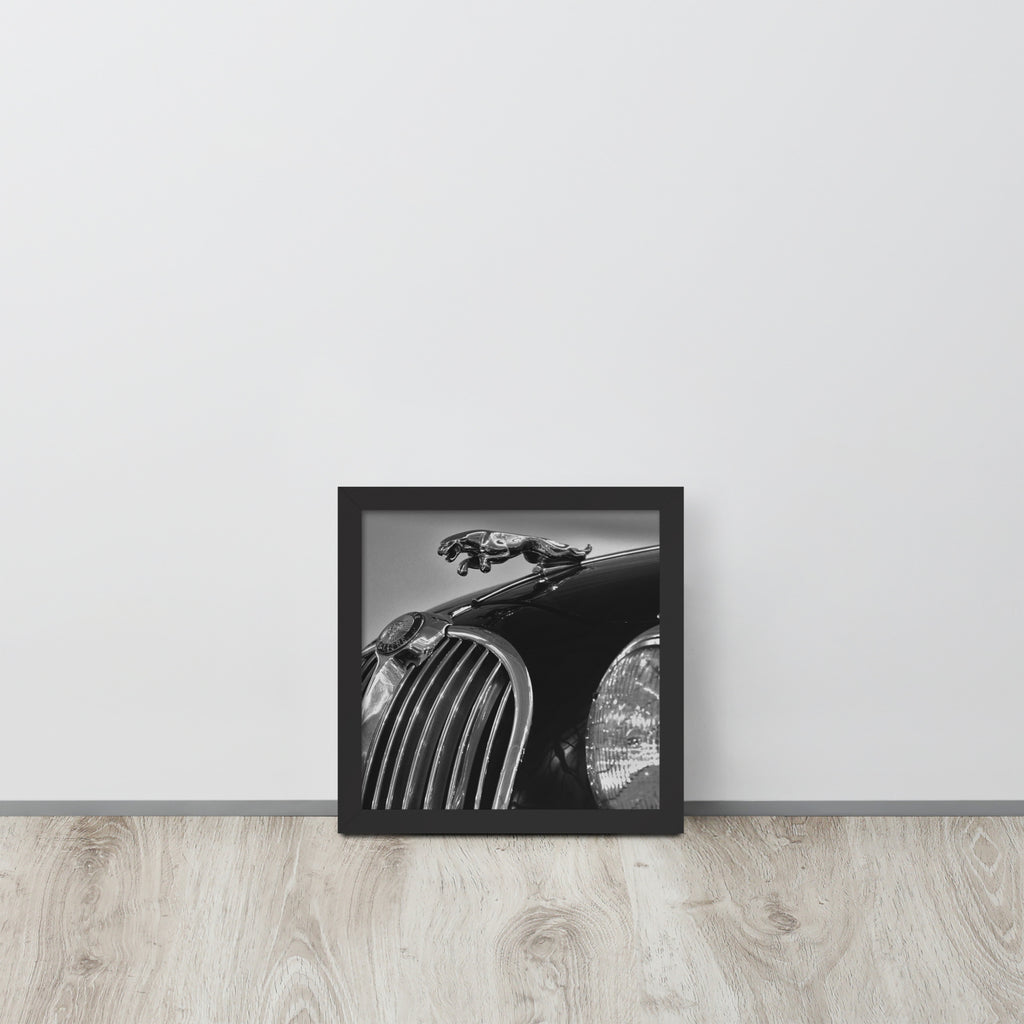 Car Collection Jaguar -- High Quality-- Framed on photo paper