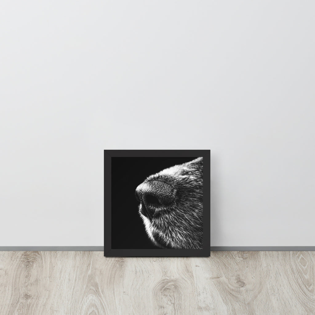 The Nose -- High Quality -- Framed on photo paper