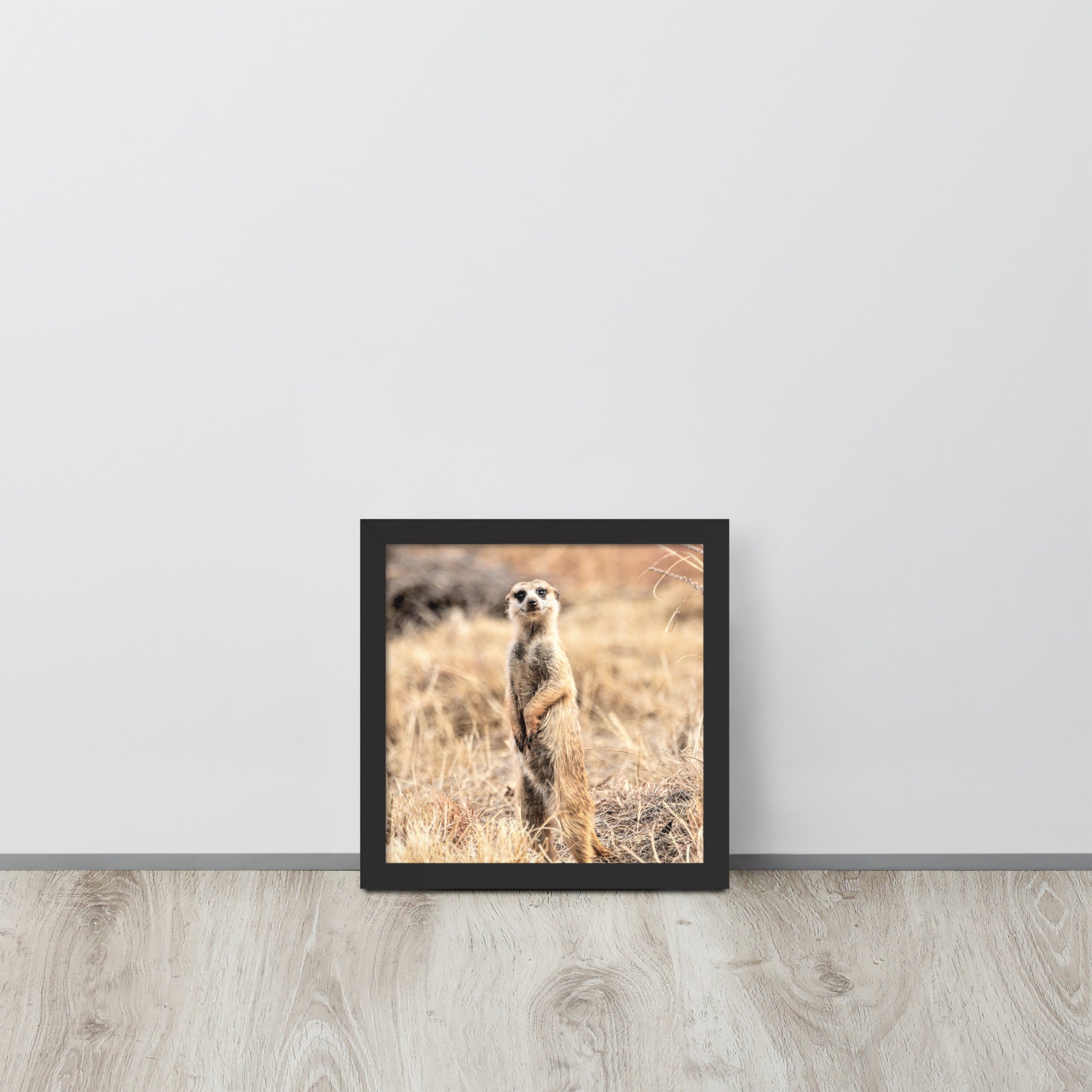 -- High Quality -- Framed on photo paper