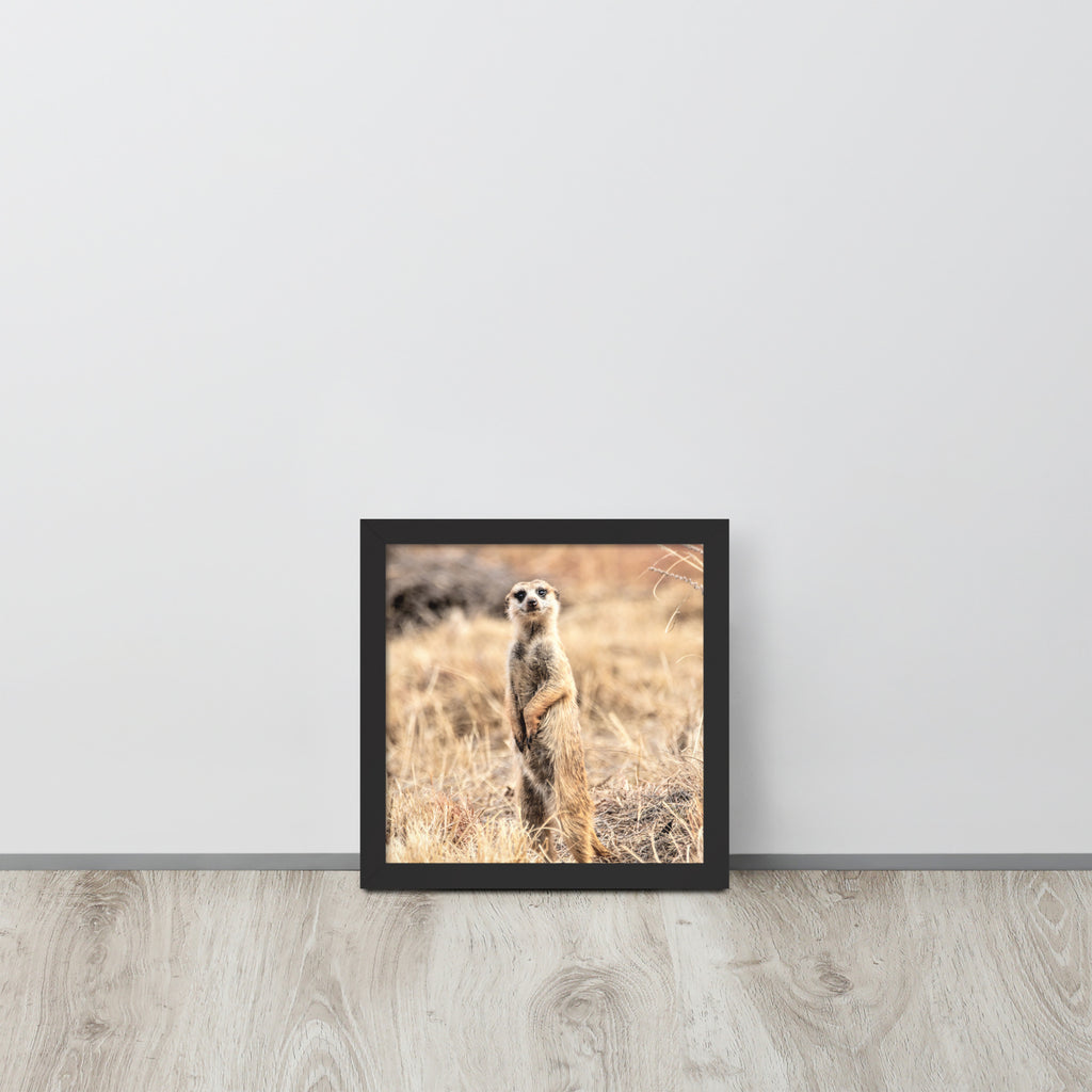 -- High Quality -- Framed on photo paper