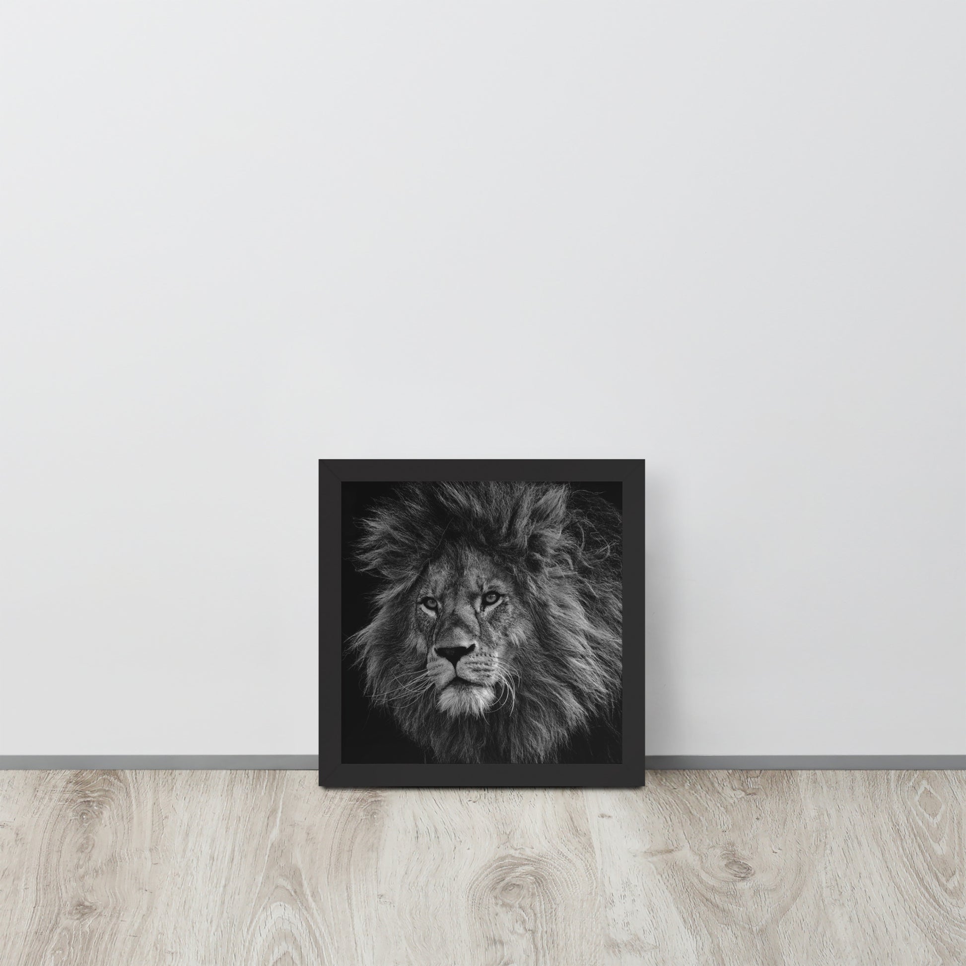 Lion -- High Quality -- Framed on photo paper