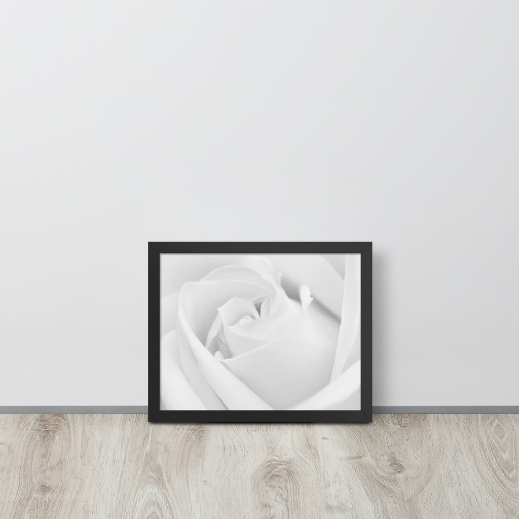 The Rose -- High Quality -- Framed on photo paper