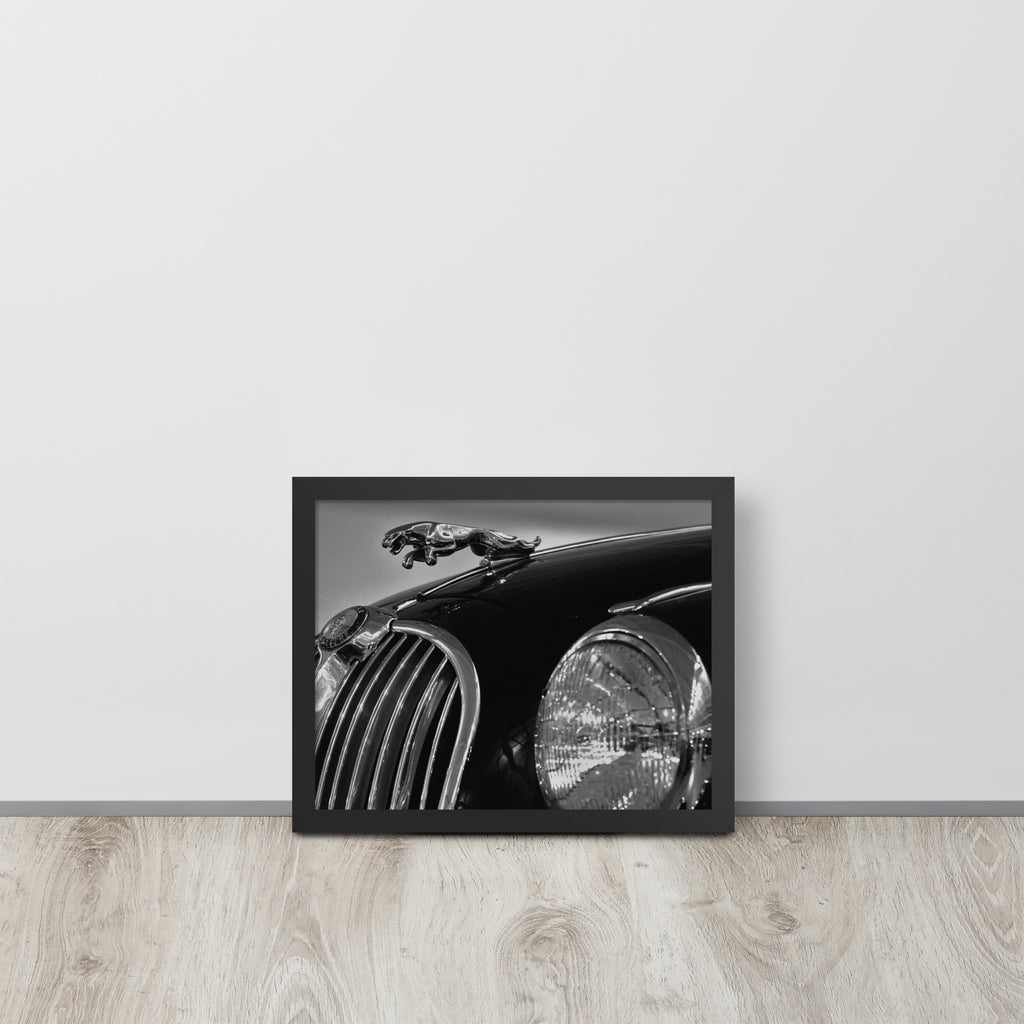 Car Collection Jaguar -- High Quality-- Framed on photo paper