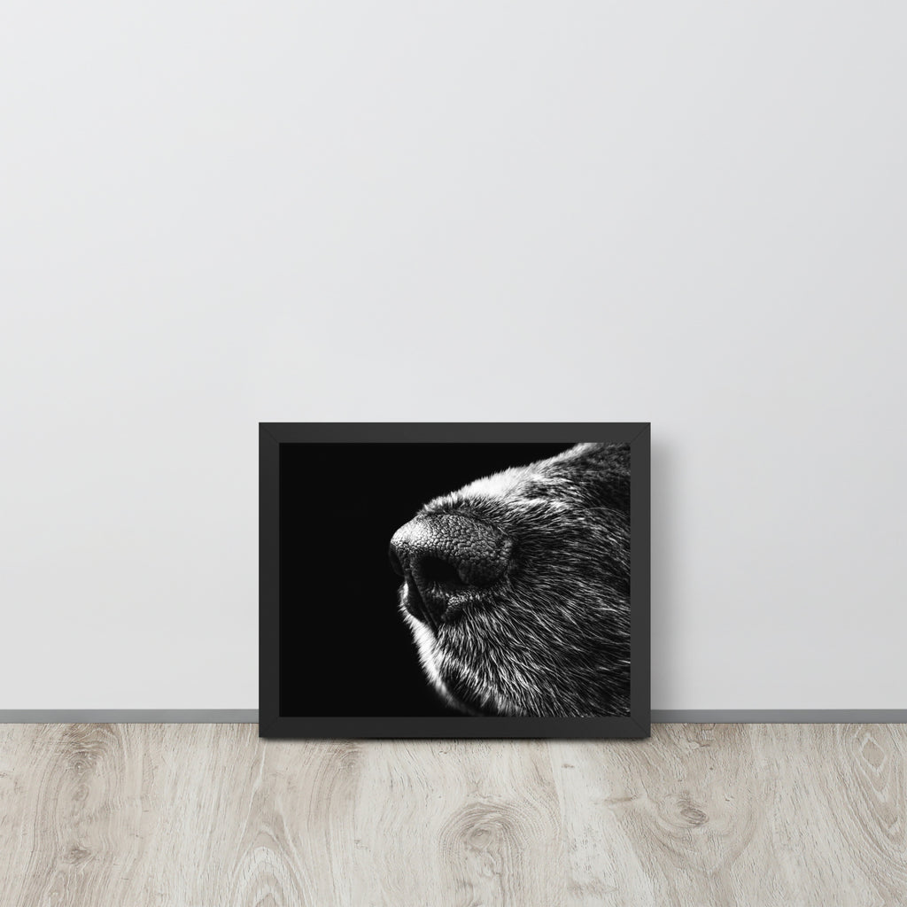 The Nose -- High Quality -- Framed on photo paper