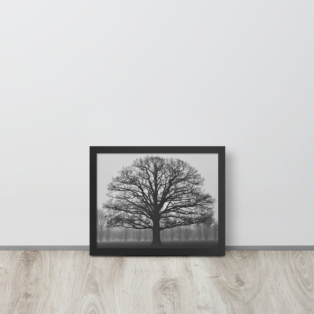 The Tree -- High Quality -- Framed on photo paper