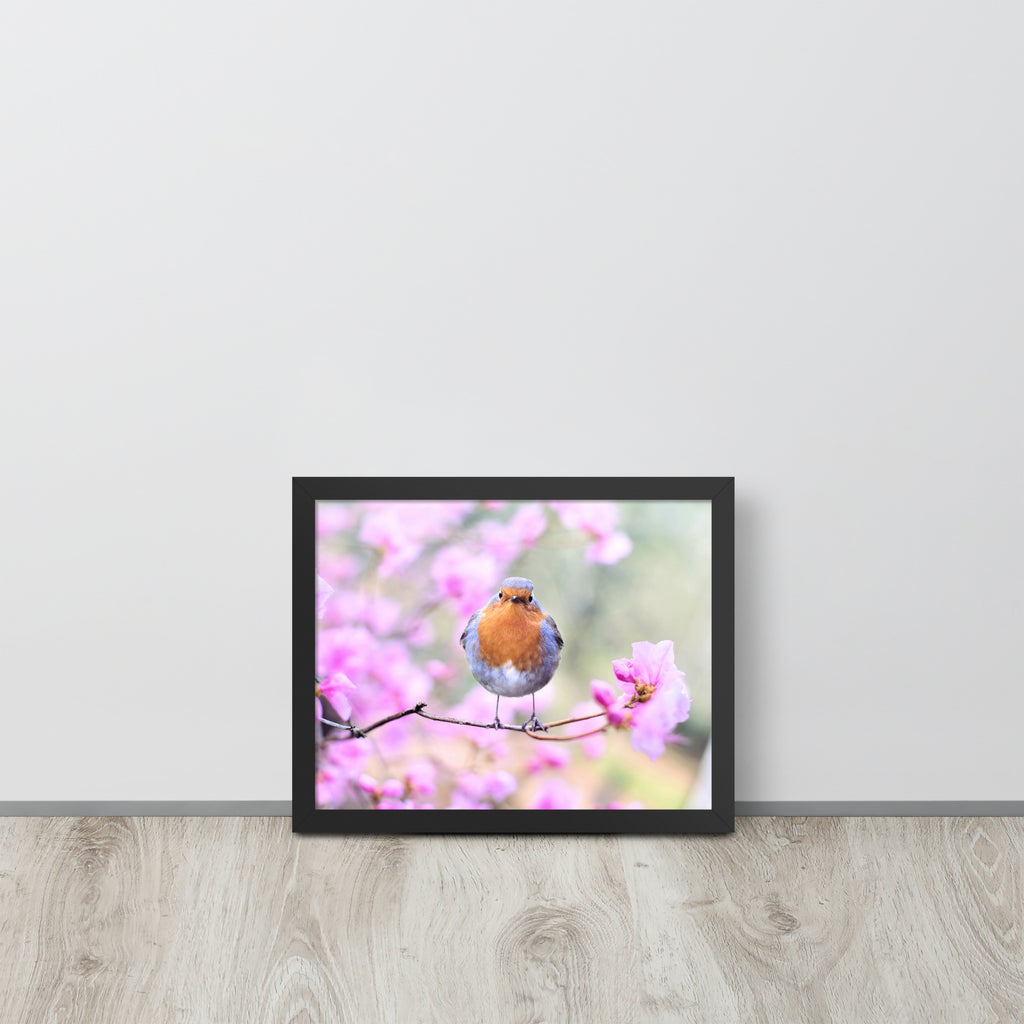 Birdie -- High Quality -- Framed on photo paper