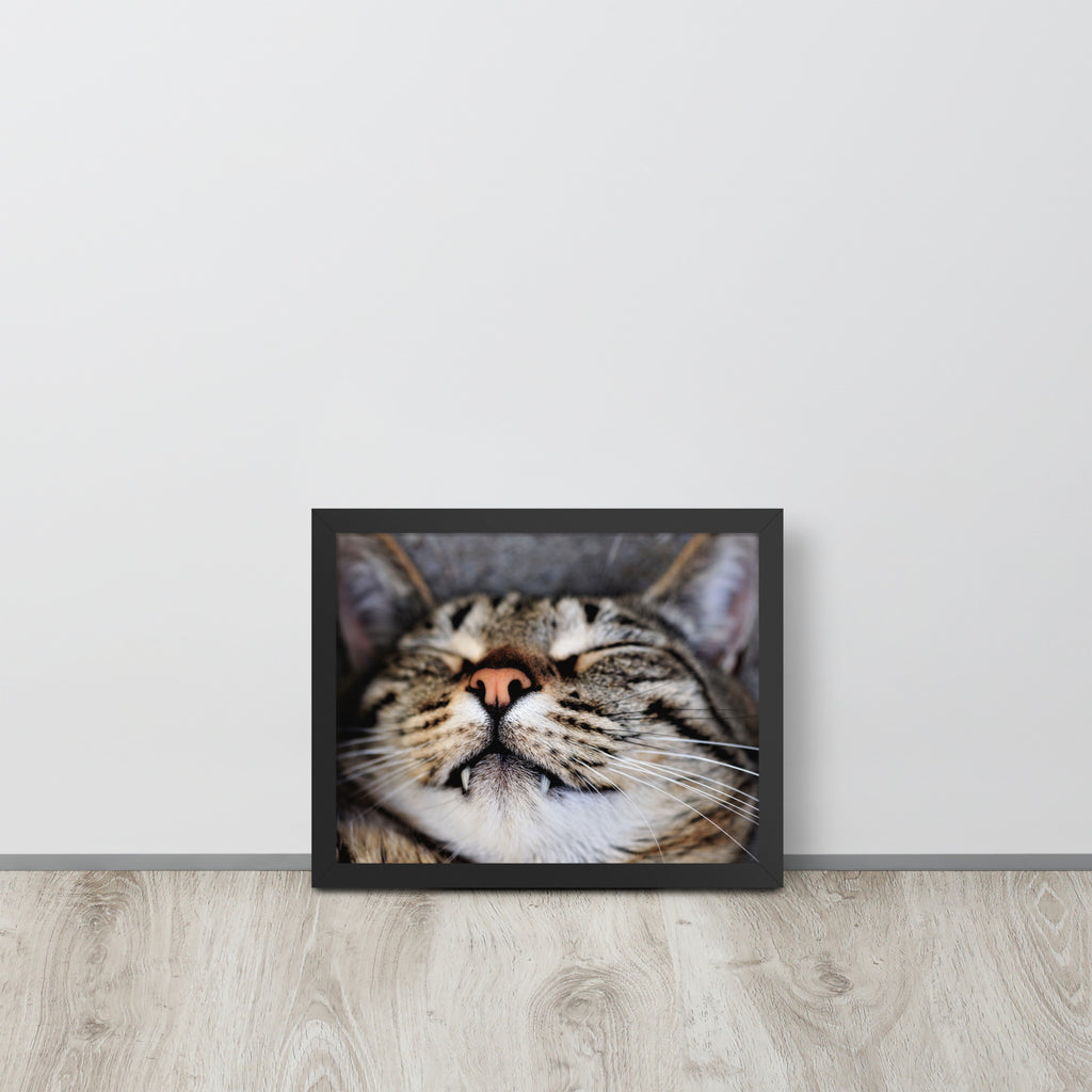Sleeping Cat -- High Quality -- Framed on photo paper