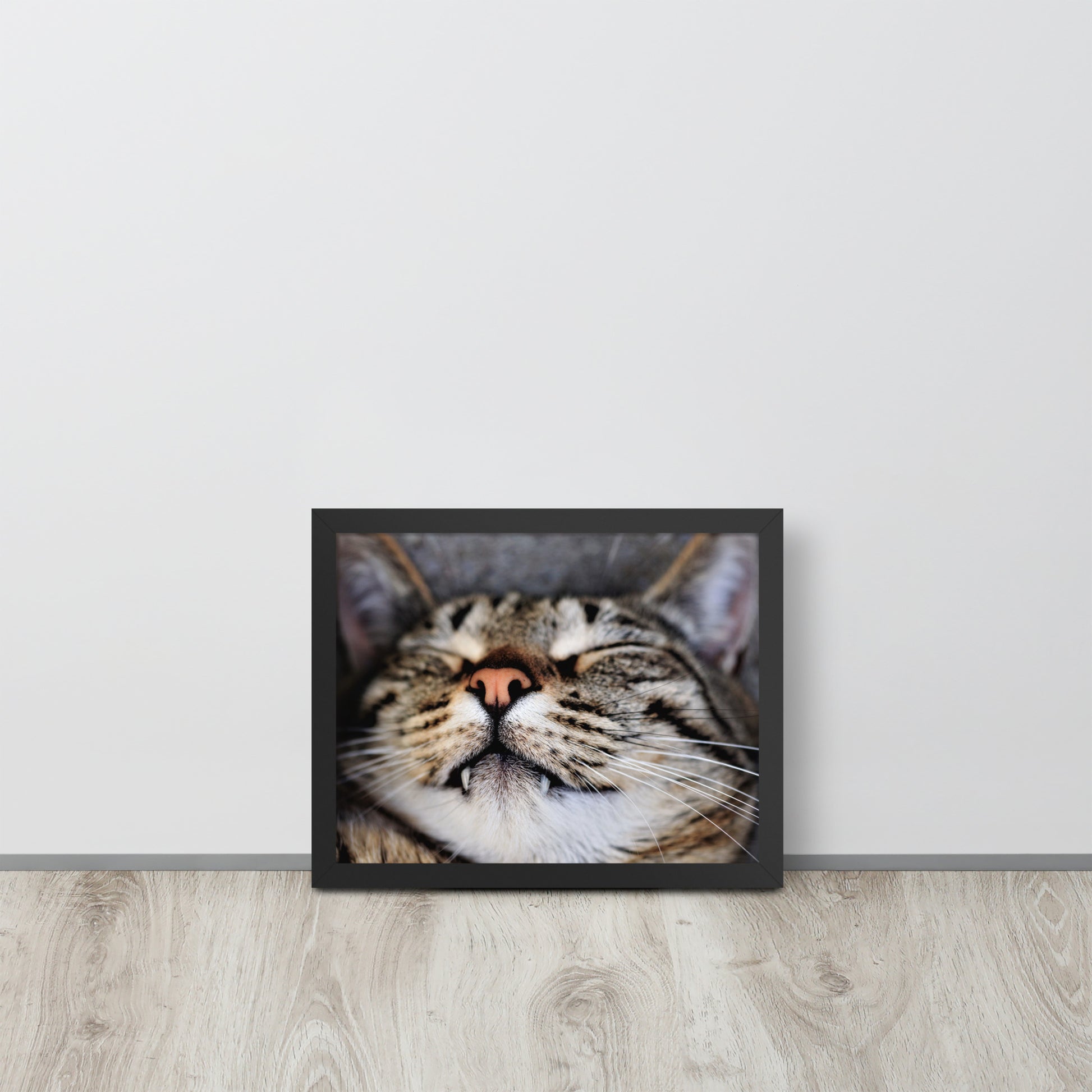 Sleeping Cat -- High Quality -- Framed on photo paper