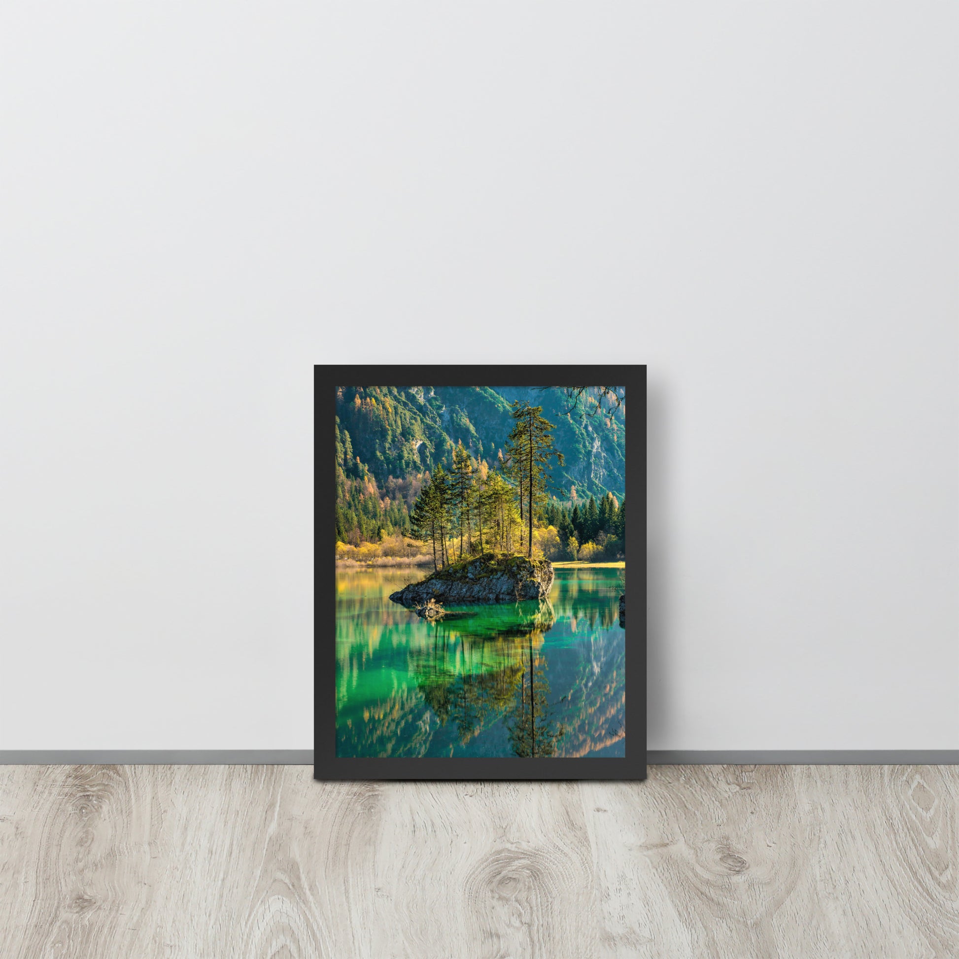 Nature -- High Quality -- Framed on photo paper