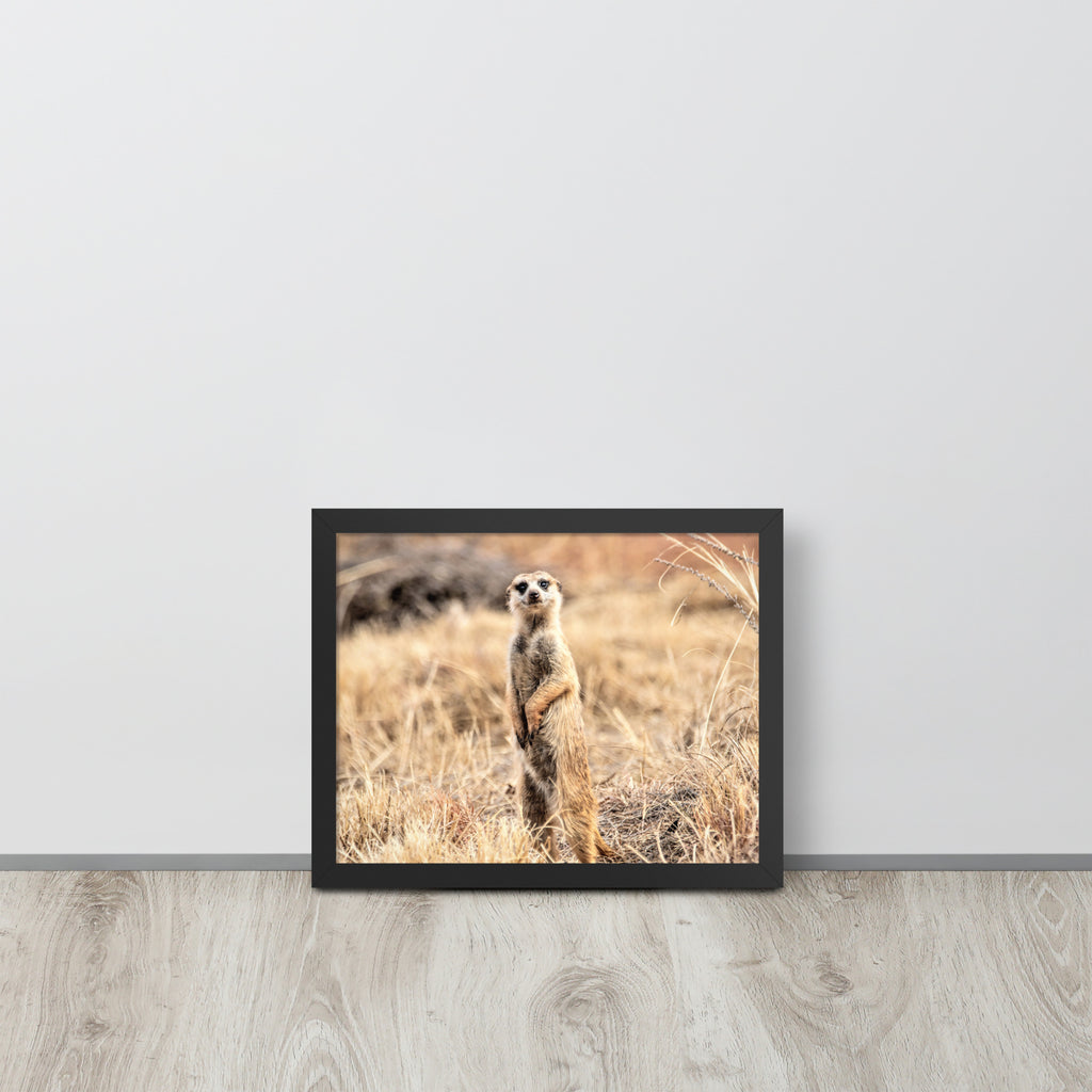 -- High Quality -- Framed on photo paper