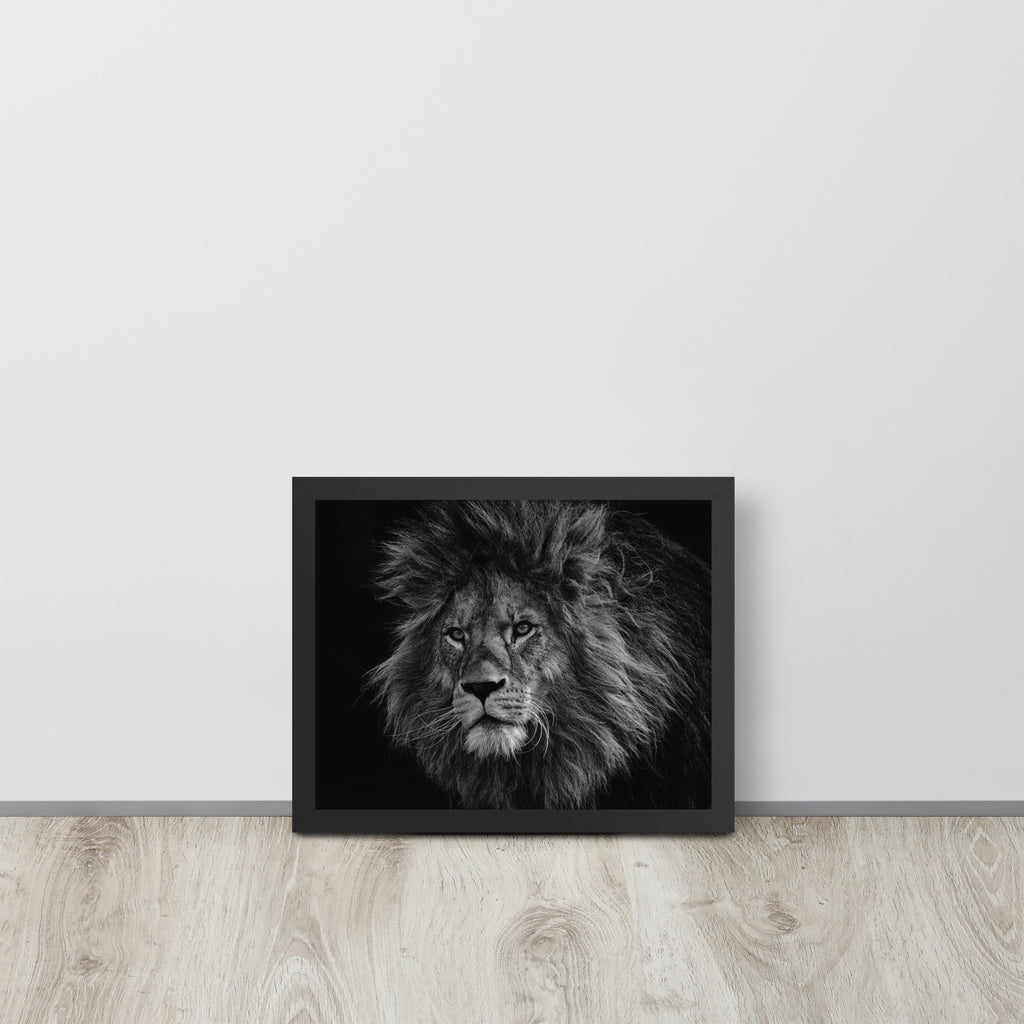 Lion -- High Quality -- Framed on photo paper