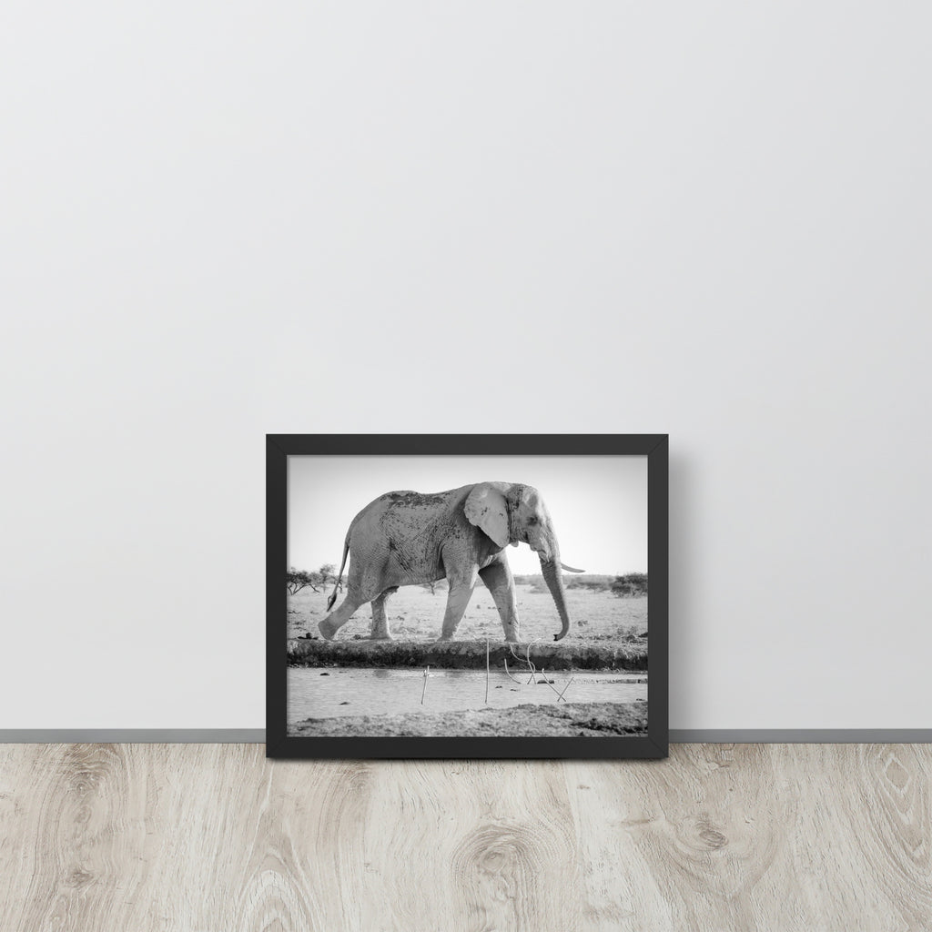 Elephant -- High Quality -- Framed photo paper