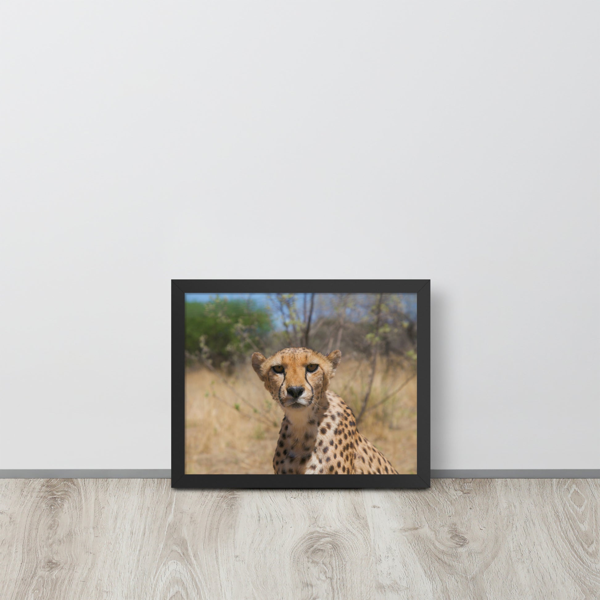 Leopard -- High Quality -- Framed on photo paper