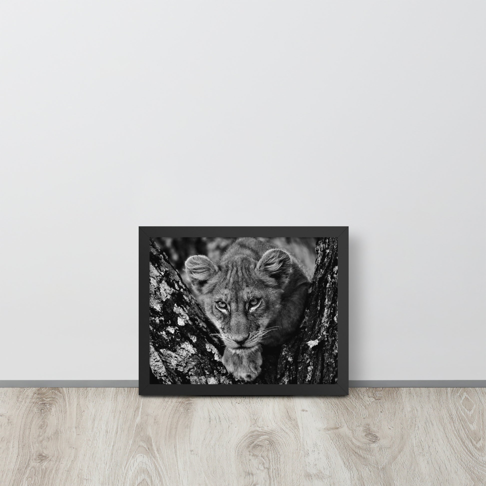 Lioness -- High Quality -- Framed on photo paper