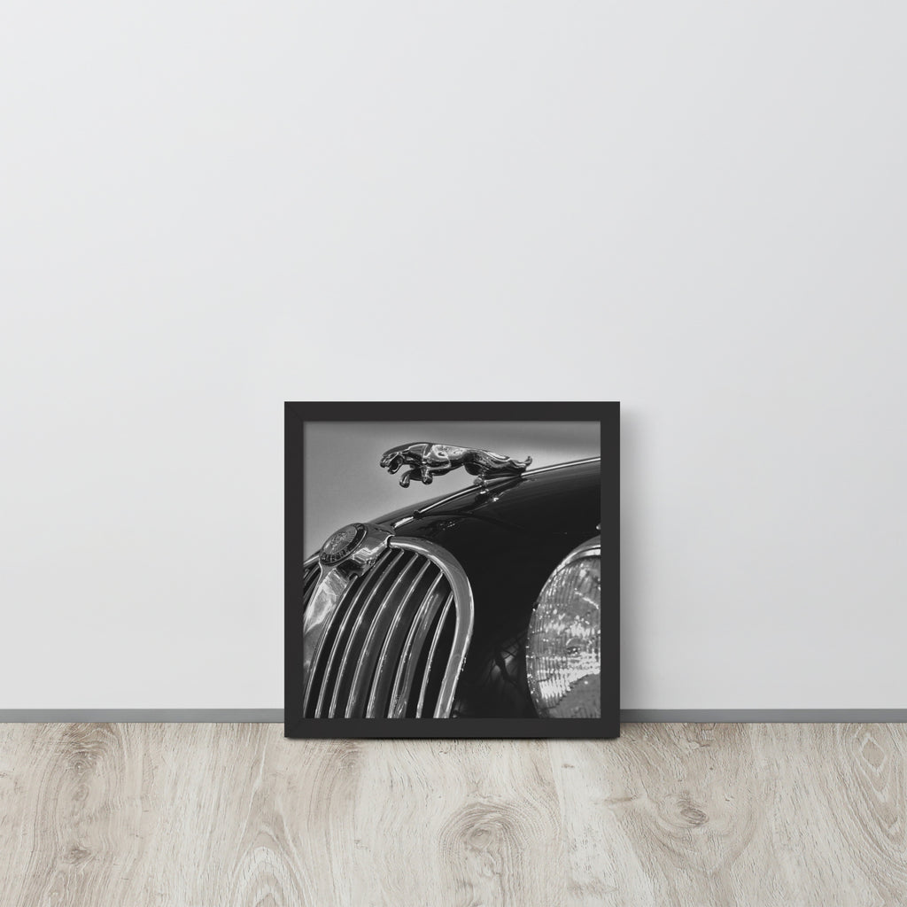 Car Collection Jaguar -- High Quality-- Framed on photo paper