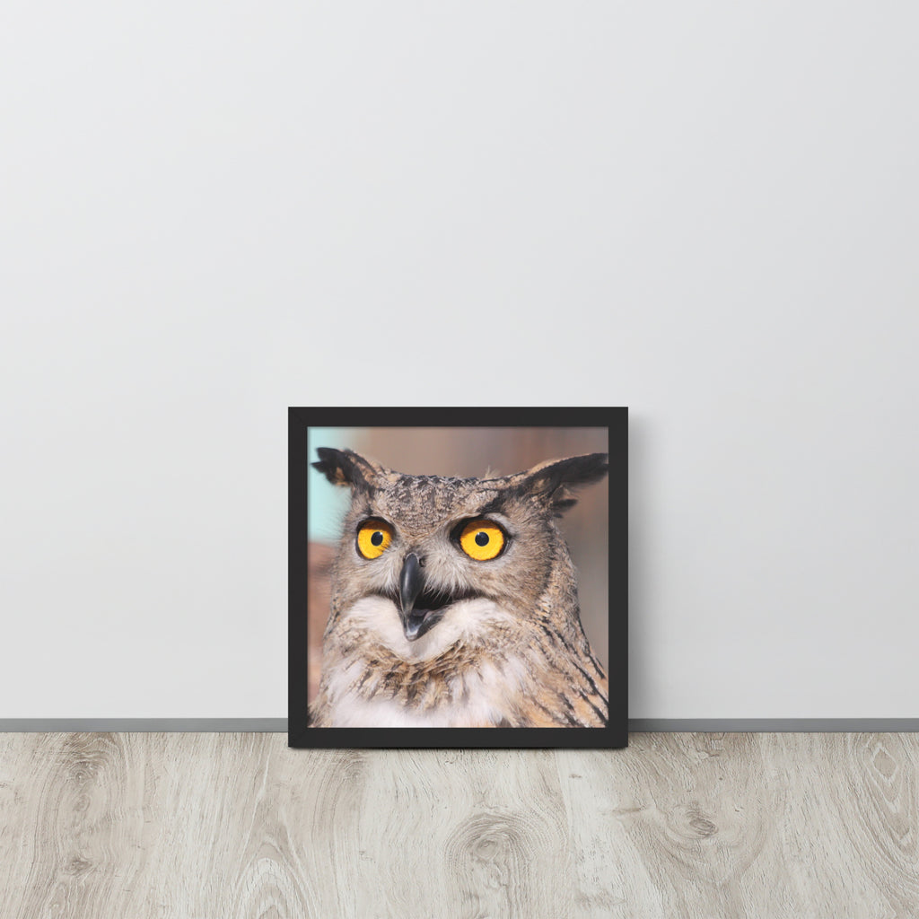 Owl -- High Quallity -- Framed on photo paper