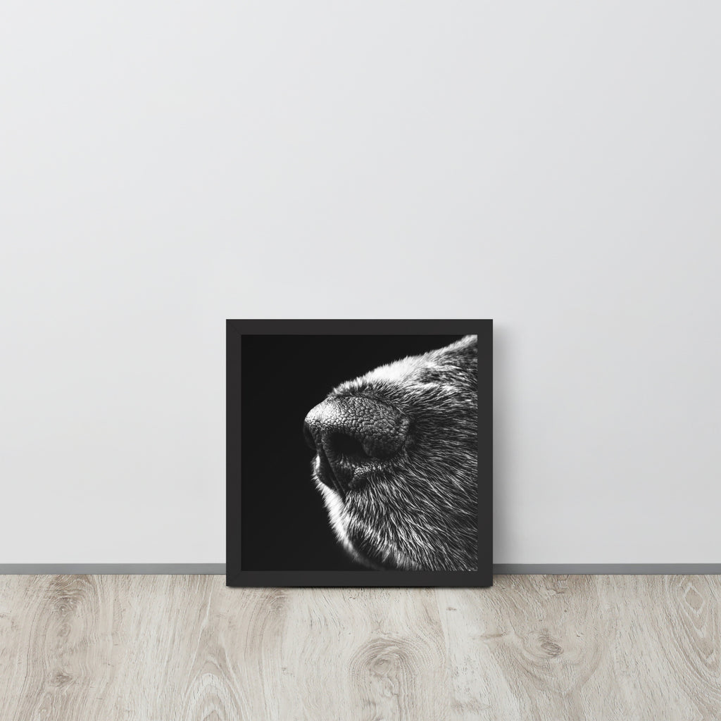 The Nose -- High Quality -- Framed on photo paper