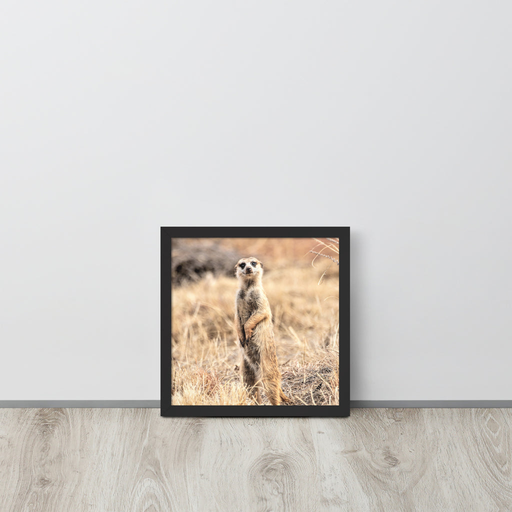-- High Quality -- Framed on photo paper
