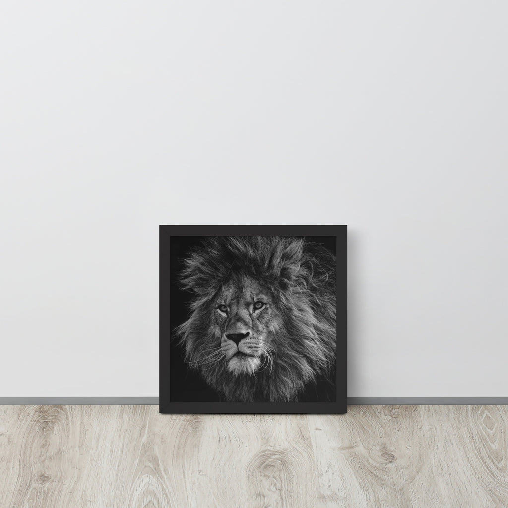 Lion -- High Quality -- Framed on photo paper