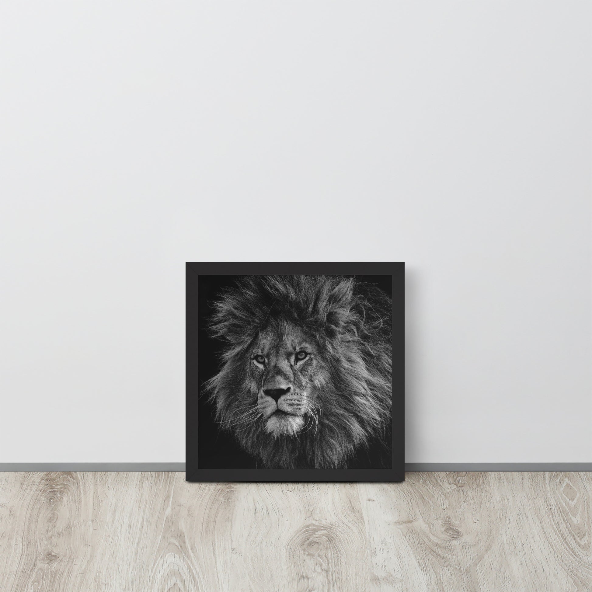 Lion -- High Quality -- Framed on photo paper