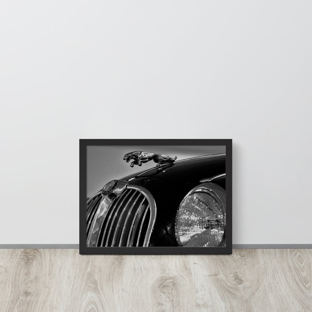 Car Collection Jaguar -- High Quality-- Framed on photo paper