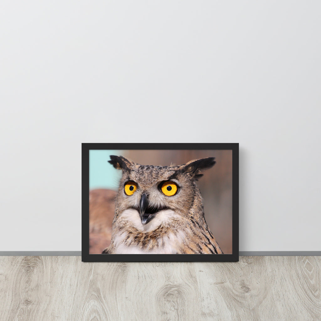 Owl -- High Quallity -- Framed on photo paper