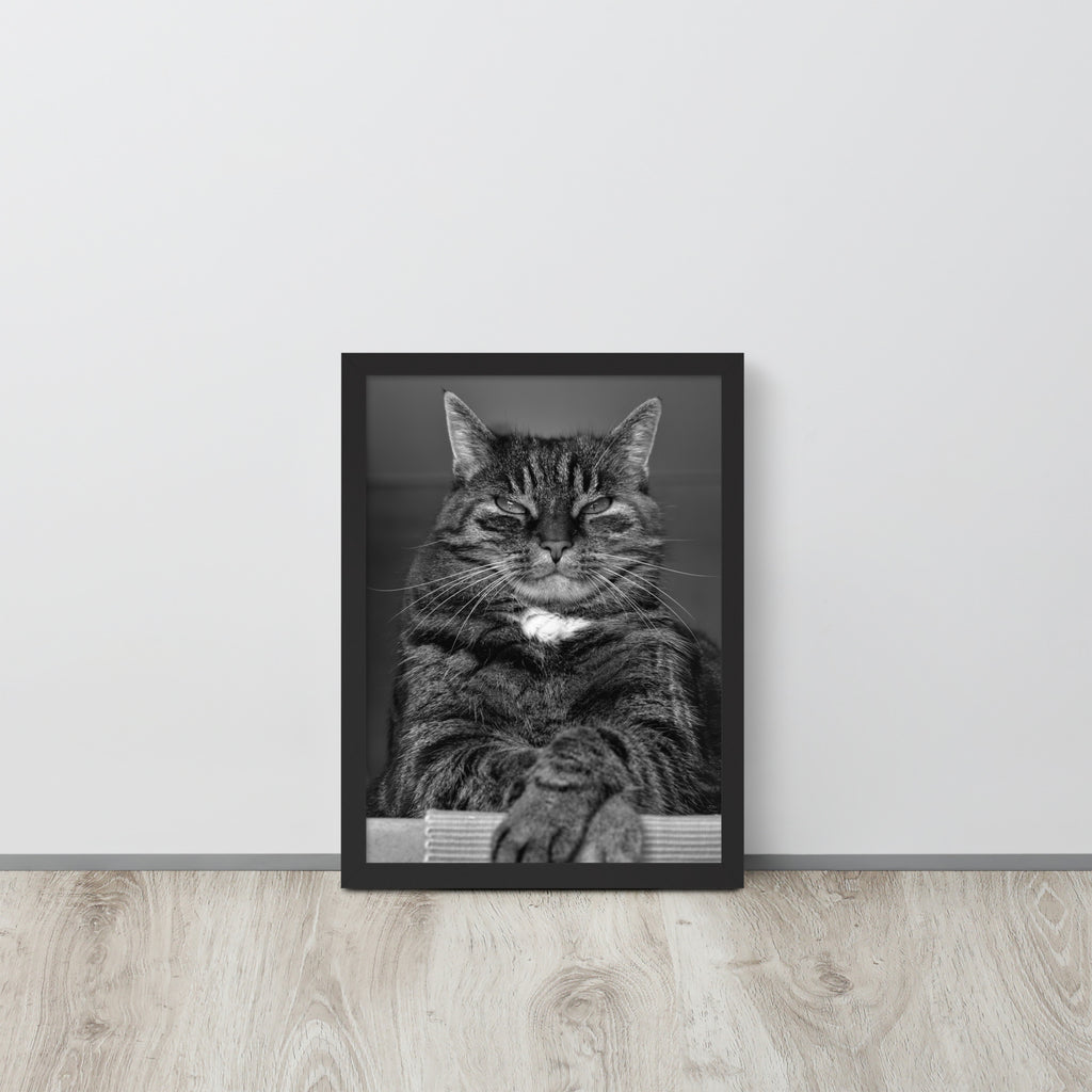 The Cat -- High Quality -- Framed on photo paper