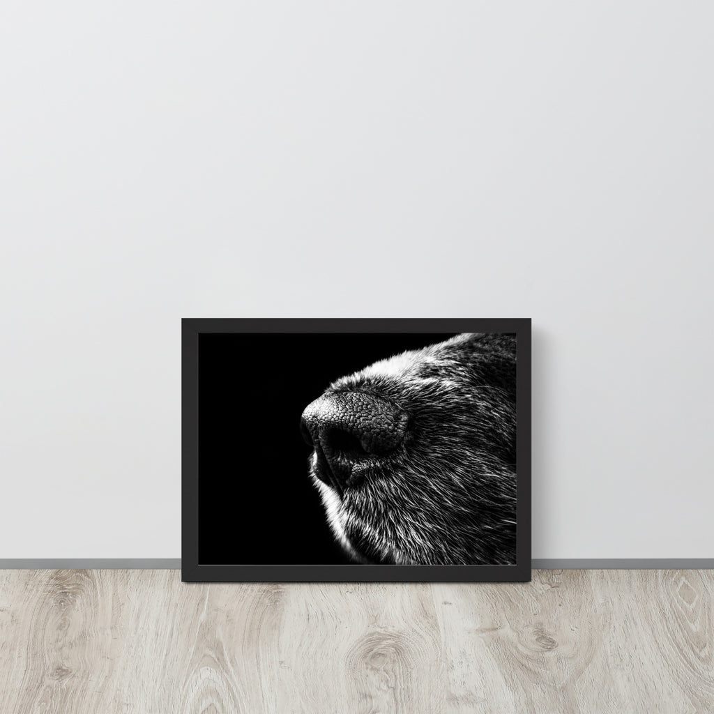 The Nose -- High Quality -- Framed on photo paper