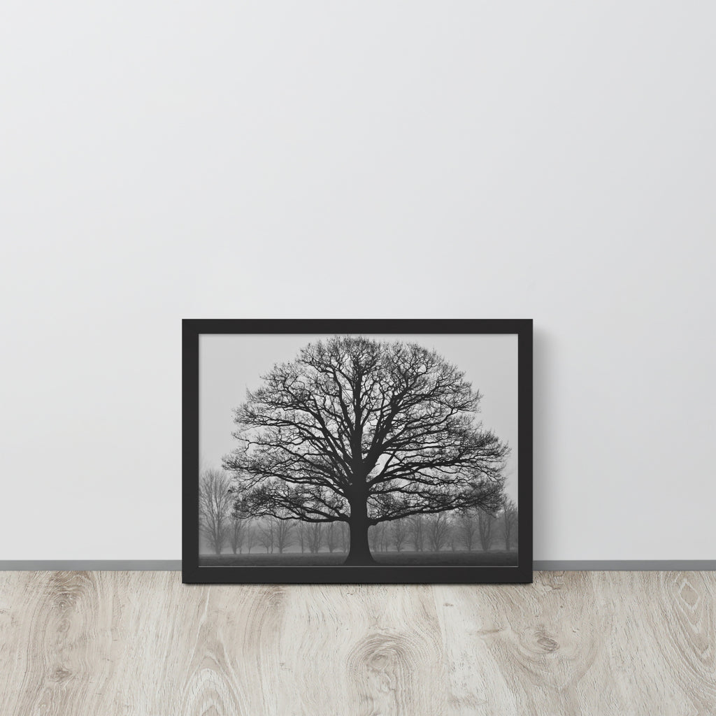 The Tree -- High Quality -- Framed on photo paper
