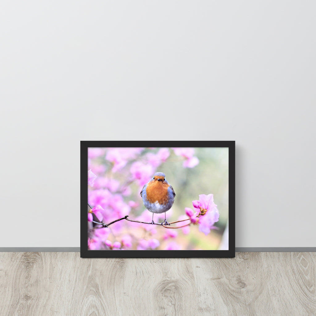 Birdie -- High Quality -- Framed on photo paper