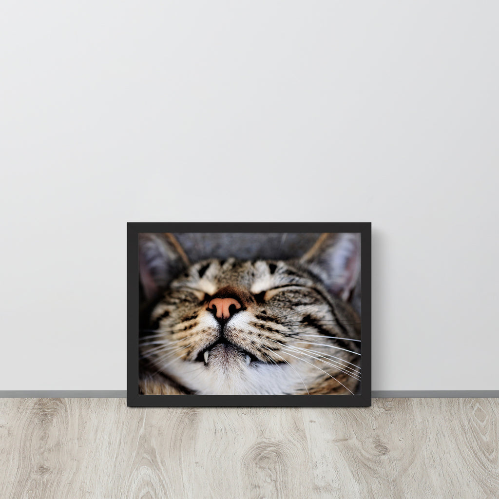 Sleeping Cat -- High Quality -- Framed on photo paper