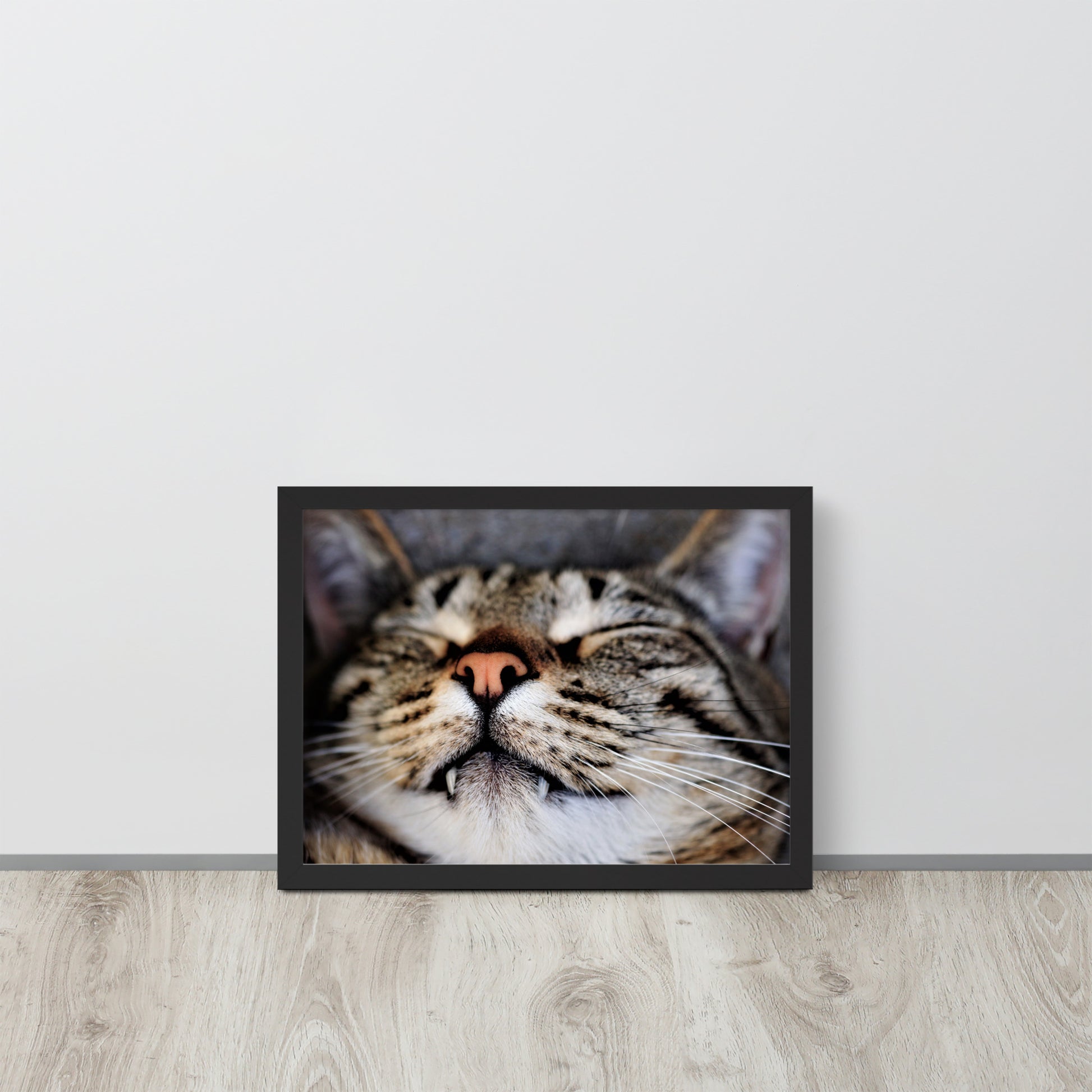 Sleeping Cat -- High Quality -- Framed on photo paper