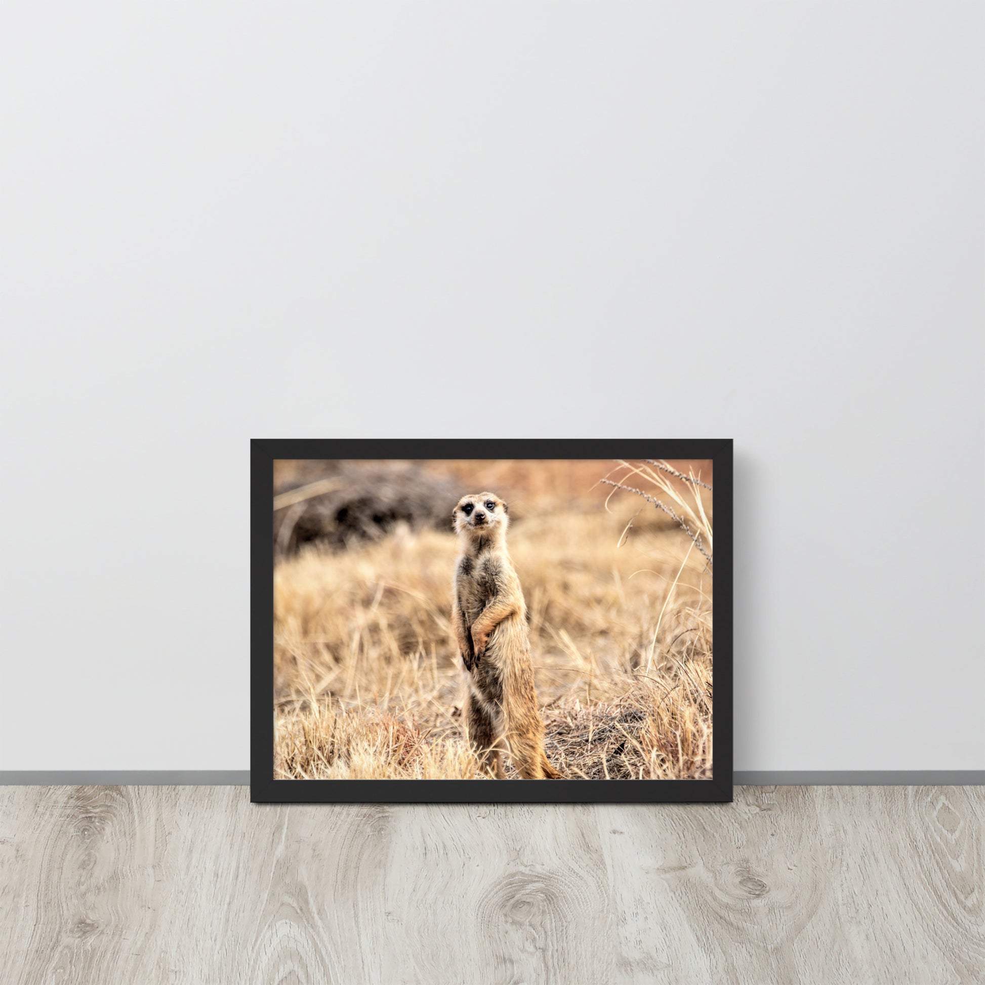-- High Quality -- Framed on photo paper