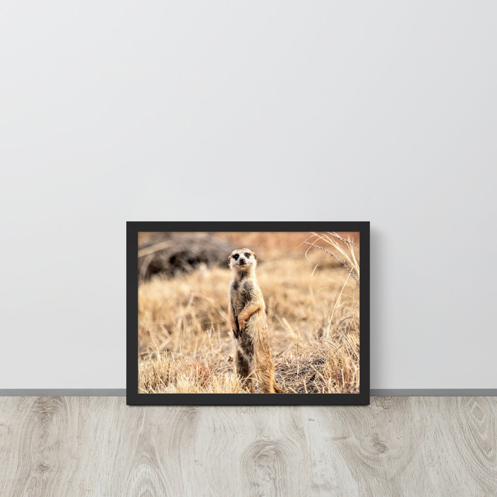 -- High Quality -- Framed on photo paper