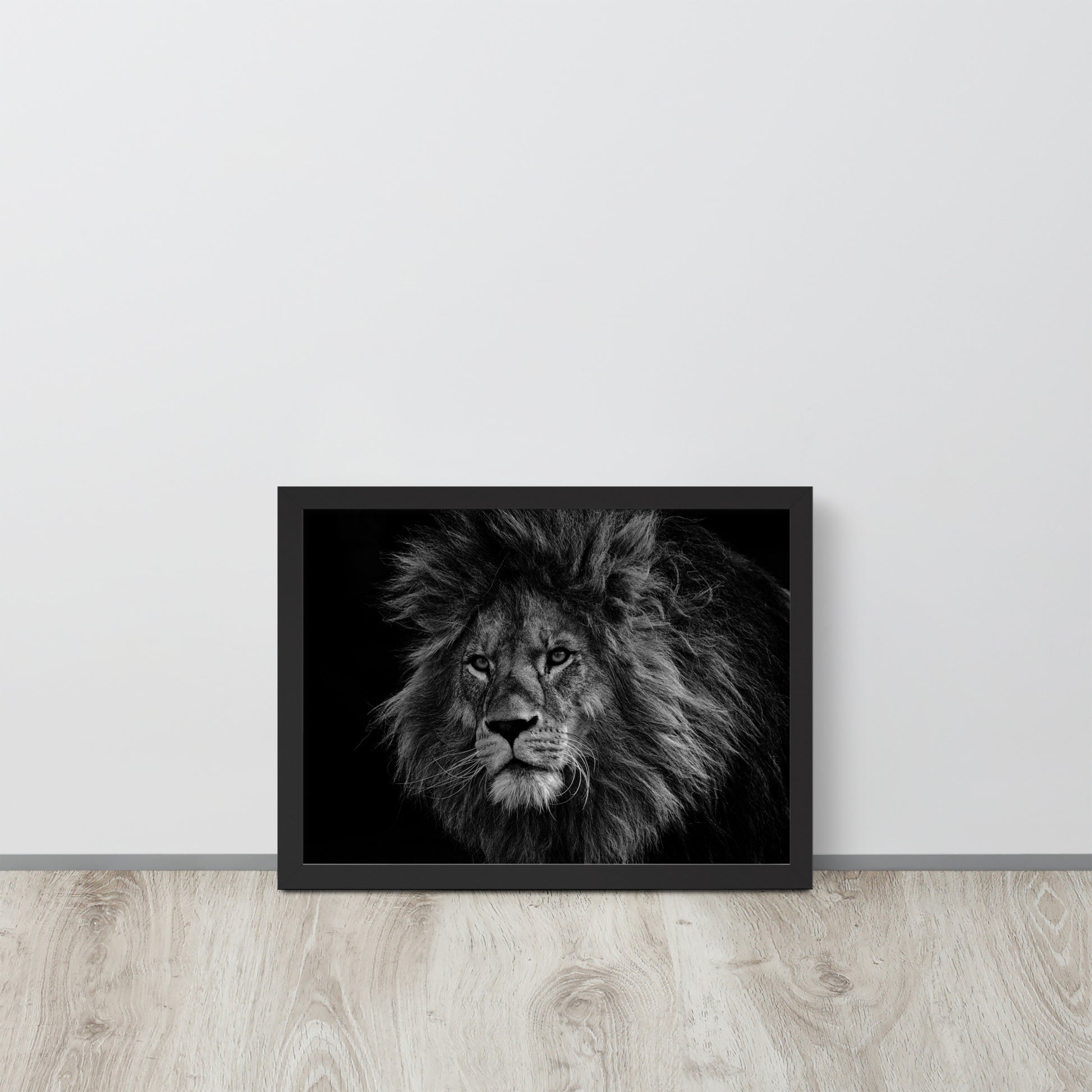 Lion -- High Quality -- Framed on photo paper