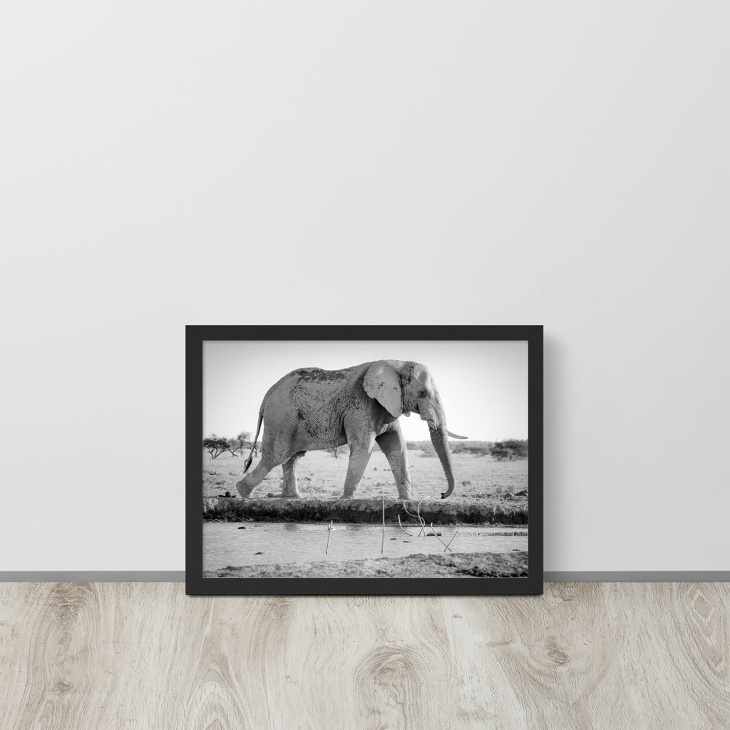 Elephant -- High Quality -- Framed photo paper