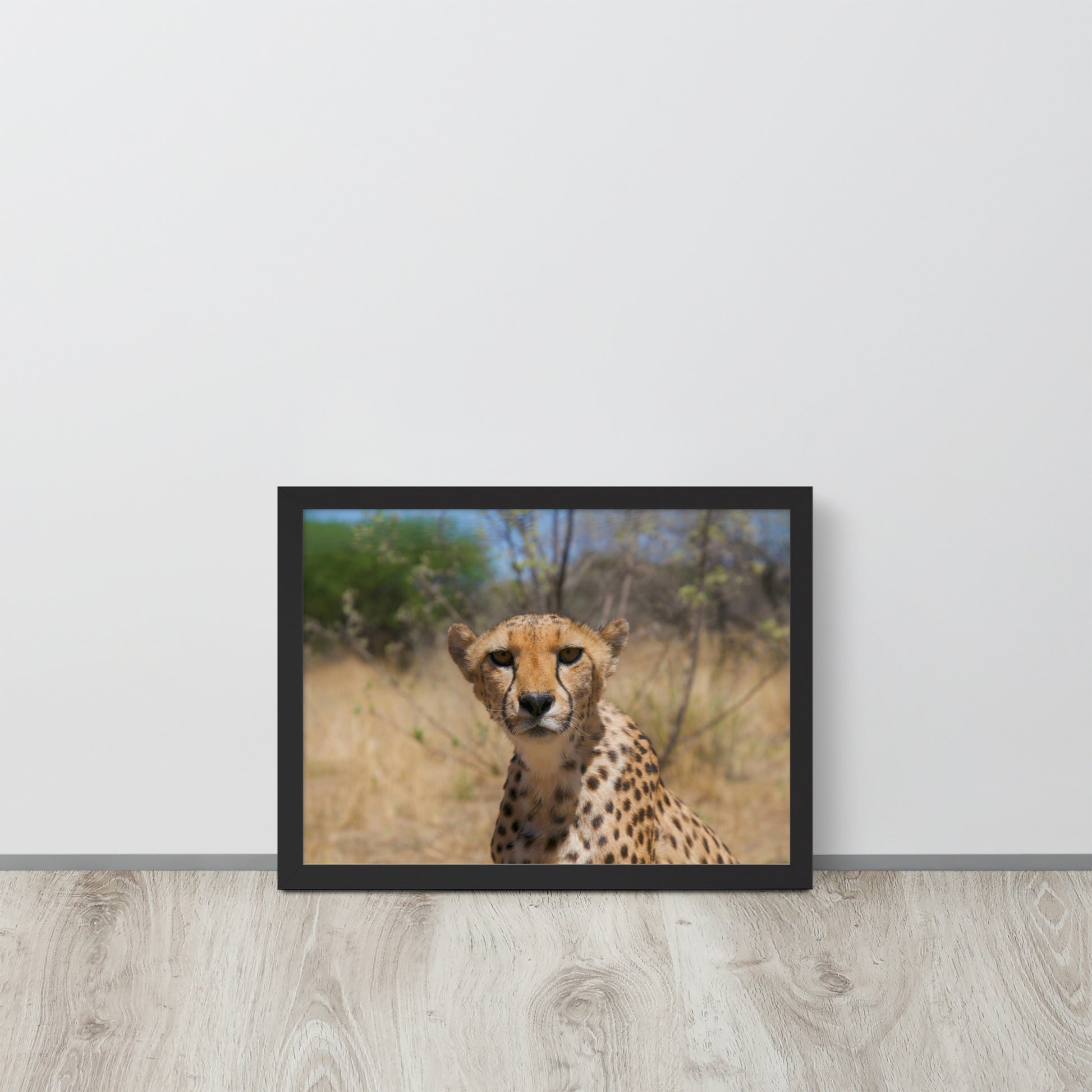 Leopard -- High Quality -- Framed on photo paper