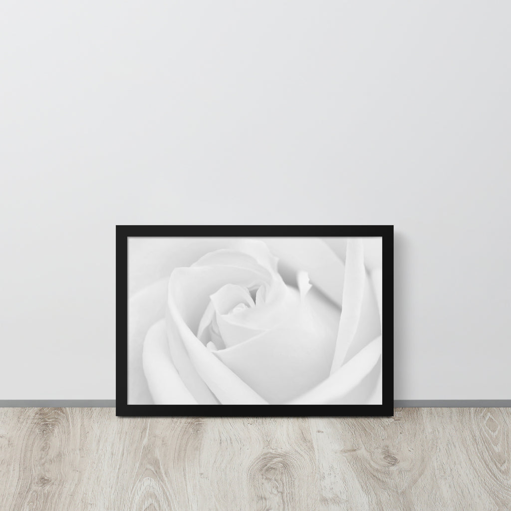 The Rose -- High Quality -- Framed on photo paper