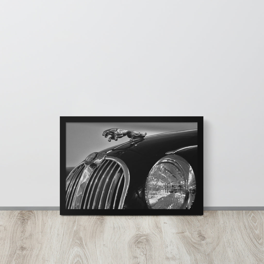 Car Collection Jaguar -- High Quality-- Framed on photo paper