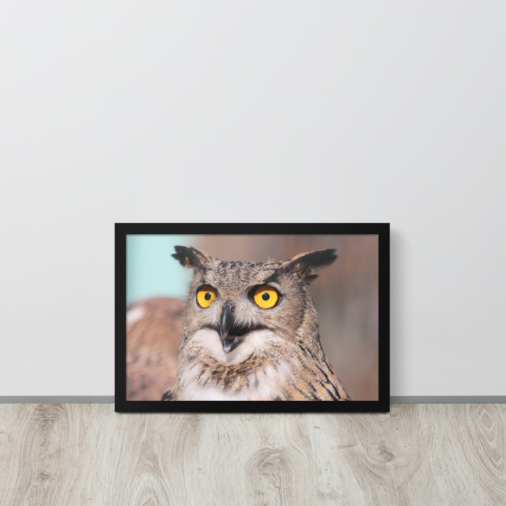 Owl -- High Quallity -- Framed on photo paper