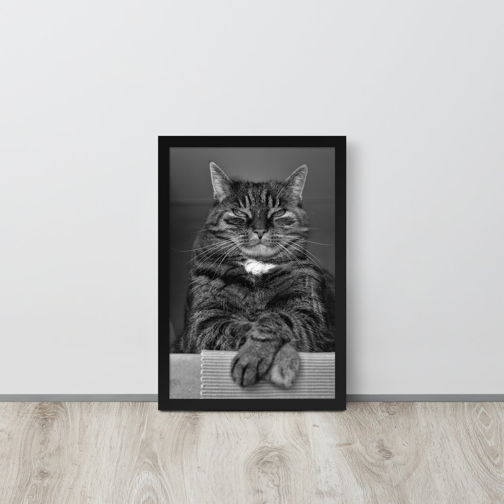 The Cat -- High Quality -- Framed on photo paper
