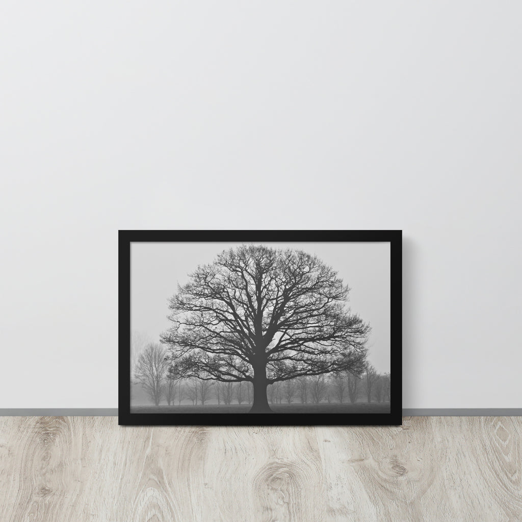 The Tree -- High Quality -- Framed on photo paper