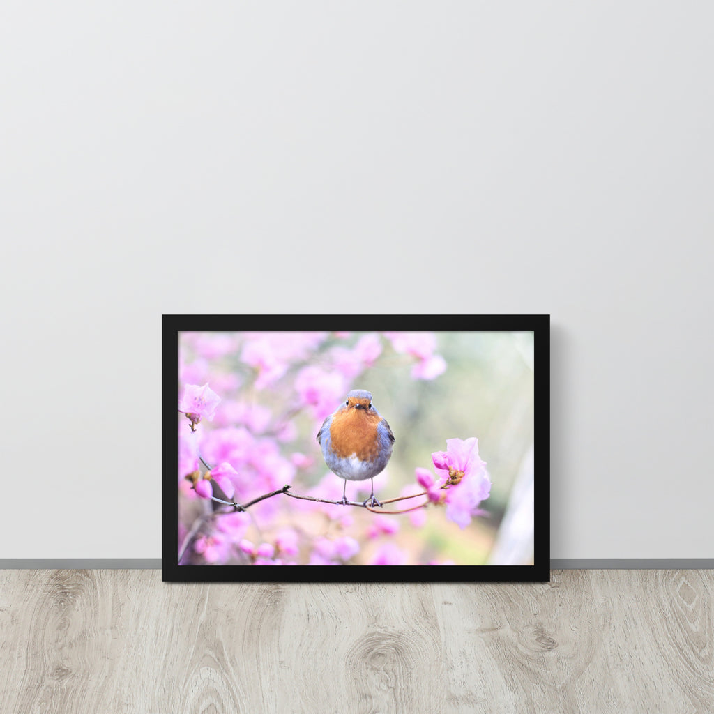 Birdie -- High Quality -- Framed on photo paper