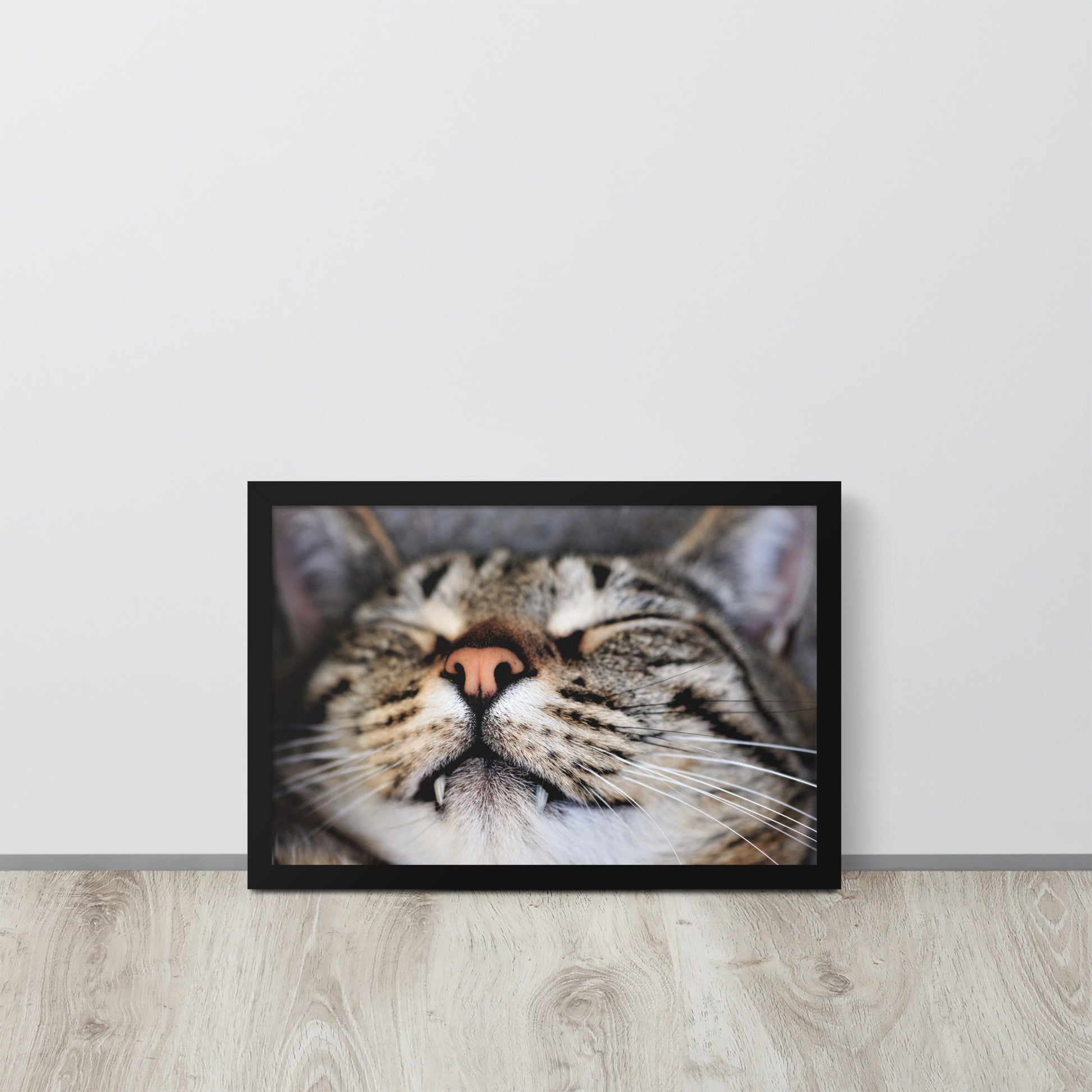 Sleeping Cat -- High Quality -- Framed on photo paper