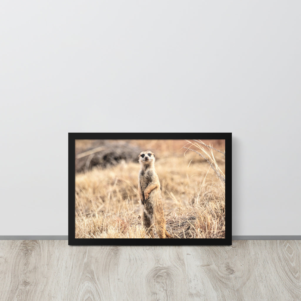 -- High Quality -- Framed on photo paper